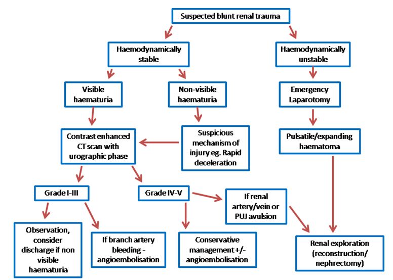 Current Management of Renal Trauma
